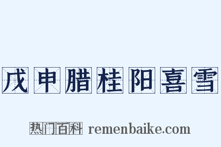 戊申腊桂阳喜雪是什么意思的图片